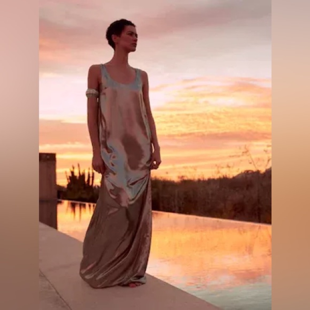 Banana Republic Maxime foil silver Dress